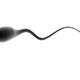 Illustration for article titled What's so bad about Spanish sperm?